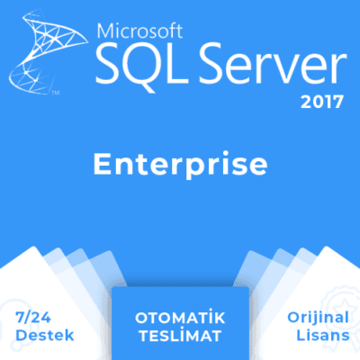 Windows Server 2017 Enterprise Lisans