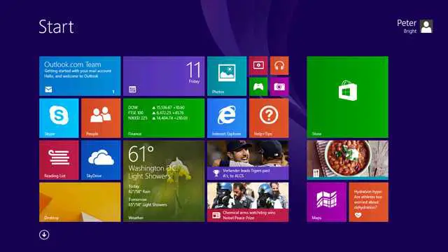 Windows 8.1 Enterprise Lisans