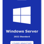 Windows Server 2022 Standard Lisans