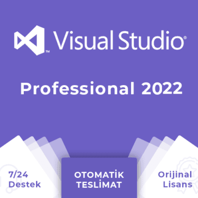 Visual Studio Professional 2022