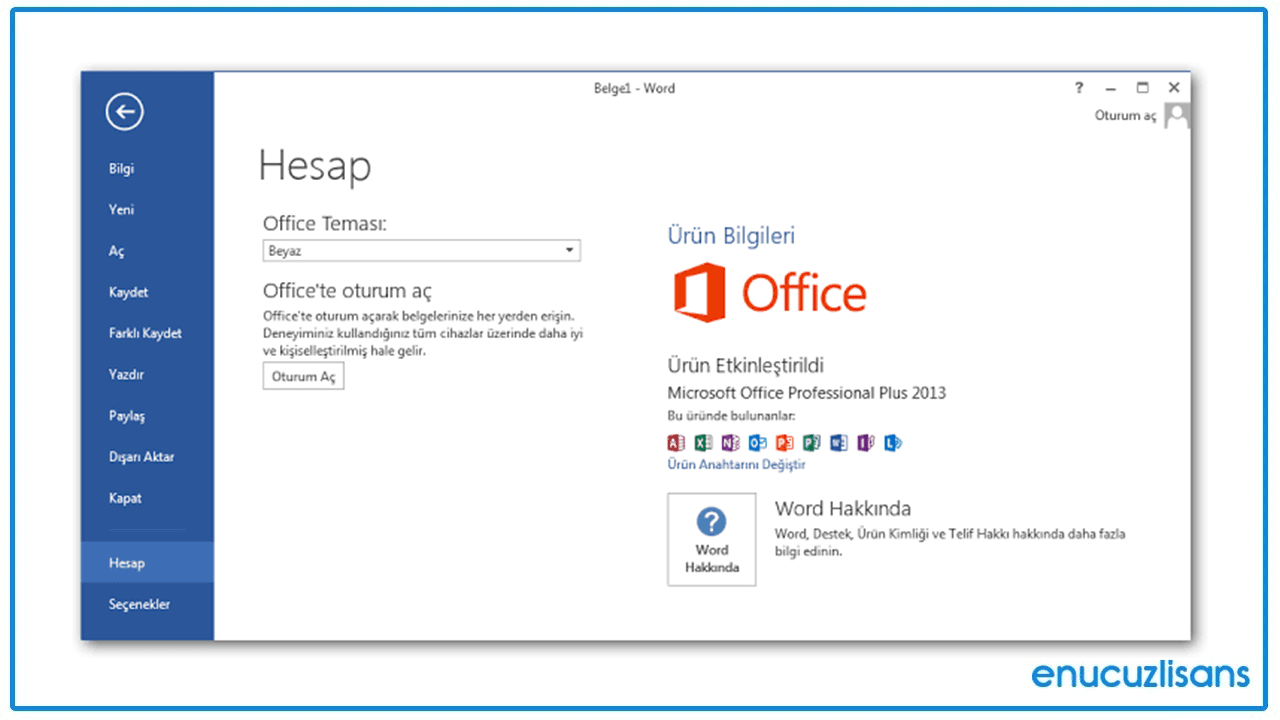 Office 2013 Pro Plus, Çoklu Ortamda Güçlü Bir Deneyim
