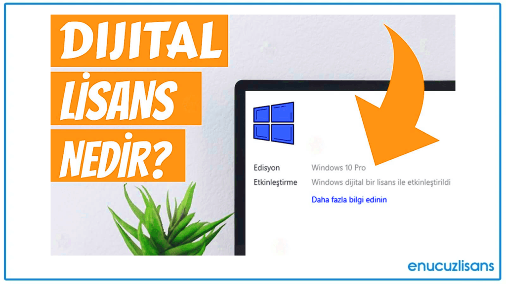 Digital Lisanslar Nedir