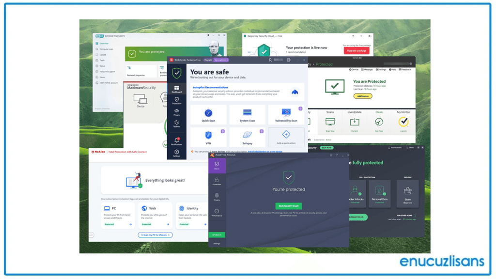 Virüs Programı Lisansı ve Maliyeti
