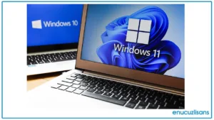 Windows Office Lisansının Tek Kullanıcılık Sürümleri